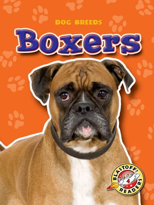 cover image of Boxers